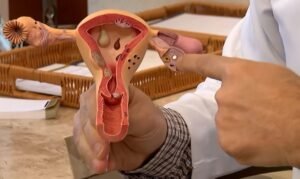 Edital do CNPq vai financiar pesquisas sobre endometriose