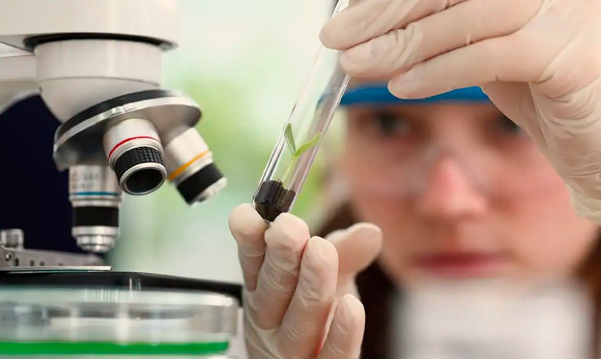 Prêmio científico paga até R$ 13 mil para estudantes