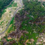 Parque das Tribos enfrenta quarto dia de incêndio