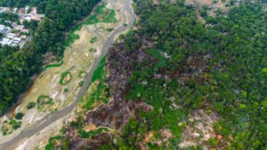 Parque das Tribos enfrenta quarto dia de incêndio